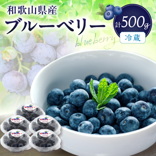 冷蔵ブルーベリー　500g 111842 - 和歌山県御坊市