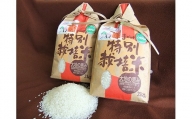 【令和5年産】いちじょう 米 （ 品種 にこまる ） 精米 5kg 熊本県産 お米 白米