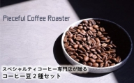 スペシャルティコーヒー コーヒー⾖ 2種セット 自家焙煎 珈琲 コーヒー 豆 愛媛県 松山市