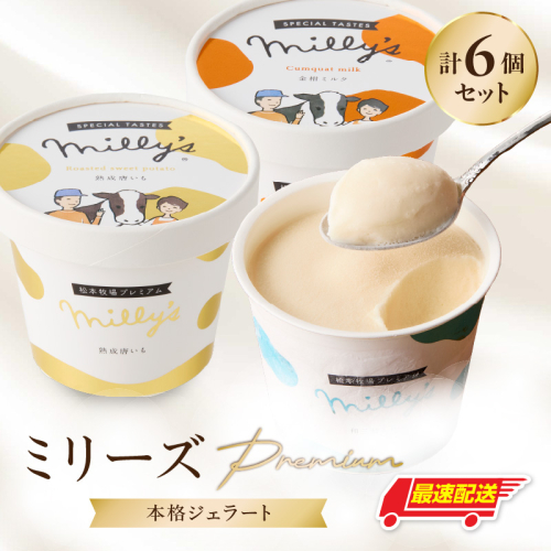 松本牧場ミリーズPremium　本格ジェラート＆シャーベット（6個） 1118866 - 佐賀県玄海町