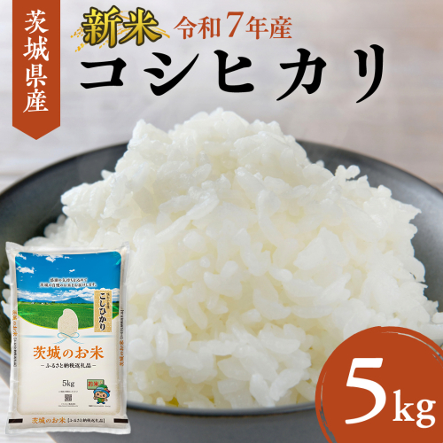 【 令和7年産 】 茨城県産 コシヒカリ 5kg 米 お米 コメ 白米 こしひかり 茨城県 精米 新生活 応援 新米 [DK001ci] 1118928 - 茨城県筑西市