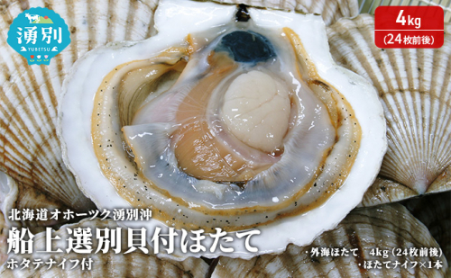 北海道 オホーツク 湧別沖 船上 選別 貝付 ほたて 4kg（24枚前後）ホタテナイフ付 帆立 刺身 海鮮 魚介 国産 殻付き 冷蔵 サロマ湖 魚貝類 砂抜き お刺身 生食  111906 - 北海道湧別町