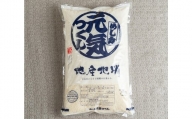 【令和5年産】福岡の美味しいお米 ・ 元気つくし 5kg 米 精米 白米 福岡県産 国産