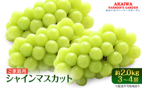 ぶどう 2025年 先行予約 ご家庭用 シャインマスカット 約2.0kg 3～4房 葡萄 フルーツ 果物 岡山 赤磐市産 あかいわファーマーズガーデン 人気 皮ごと 種無し 甘い  111930 - 岡山県赤磐市