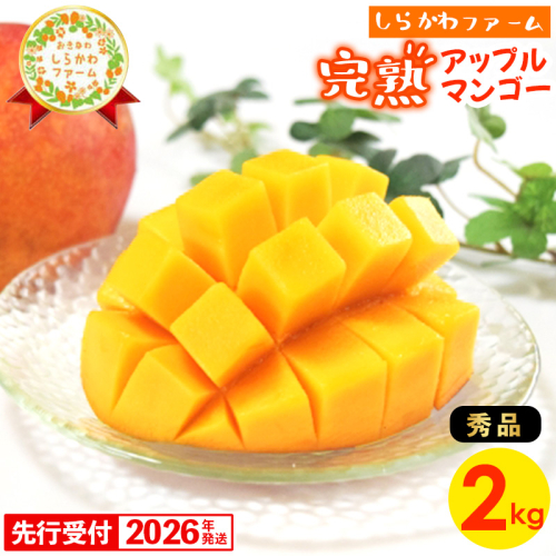 【先行受付】【2026年発送】しらかわファームのアップルマンゴー 秀 約2kg - 先行予約 沖縄 産地直送 南国フルーツ 旬の味覚 旬のフルーツ 贈り物 ギフト 沖縄県 八重瀬町 1119655 - 沖縄県八重瀬町