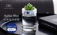 【美濃焼】SaiSui Blue（花伊万里）植物付き【大東亜窯業】 [MAG065]