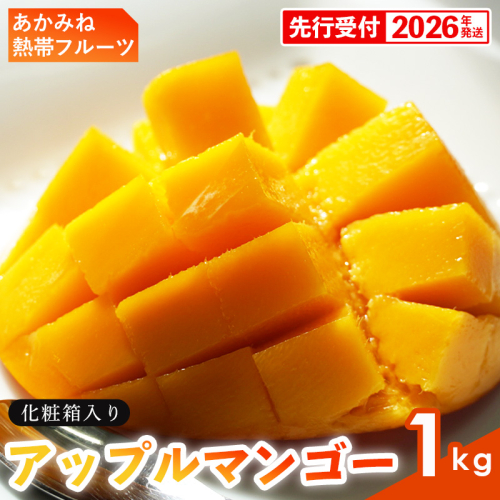 【化粧箱入】【先行受付・2026年発送】あかみね熱帯フルーツのアップルマンゴー約1kg - 先行予約 沖縄県産 産地直送 南国フルーツ 旬の味覚 季節の果物 贈り物 ギフト 沖縄県 八重瀬町 1119883 - 沖縄県八重瀬町