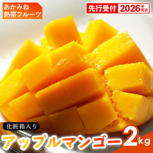 【化粧箱入】【先行受付・2026年発送】あかみね熱帯フルーツのアップルマンゴー約2kg - 先行予約 沖縄県産 産地直送 南国フルーツ 旬の味覚 季節の果物 贈り物 ギフト 沖縄県 八重瀬町 1120009 - 沖縄県八重瀬町