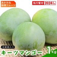 【先行受付】【2024年発送】あかみね熱帯フルーツのキーツマンゴー約1kg