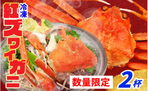 【数量・期間限定】福井県産 越前 紅ズワイガニ ×2杯【急速冷凍】（プロトン凍結）｜ ゆで蟹 紅ズワイガニ カニ ズワイガニ 紅ずわいがに かに 紅ズワイガニ カニ ズワイガニ 紅ずわいがに かに 紅ズワイガニ カニ ズワイガニ 紅ずわいがに かに 紅ズワイガニ カニ 冷蔵 北陸  かにみそ かに鍋 かにしゃぶ ボイル 年内発送 1120037 - 福井県高浜町