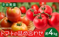 トマト2種の詰め合わせセット 約4kg 花田農園《6月上旬-7月末頃出荷(土日祝除く)》