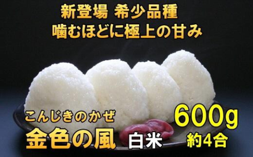 新登場の高級米 令和7年産 岩手県奥州市産 金色の風 白米 600g 【7日以内発送】 おこめ ごはん ブランド米 [AC023] 1120359 - 岩手県奥州市