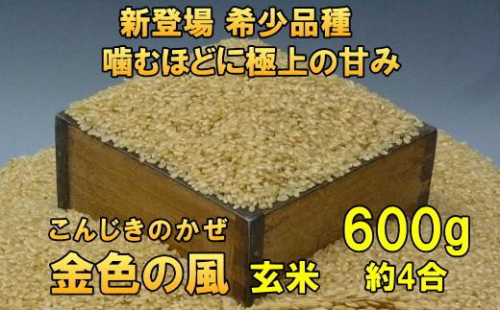 新登場の高級米 令和7年産 岩手県奥州市産 金色の風 玄米 600g 【7日以内発送】 おこめ ごはん ブランド米 [AC023] 1120360 - 岩手県奥州市