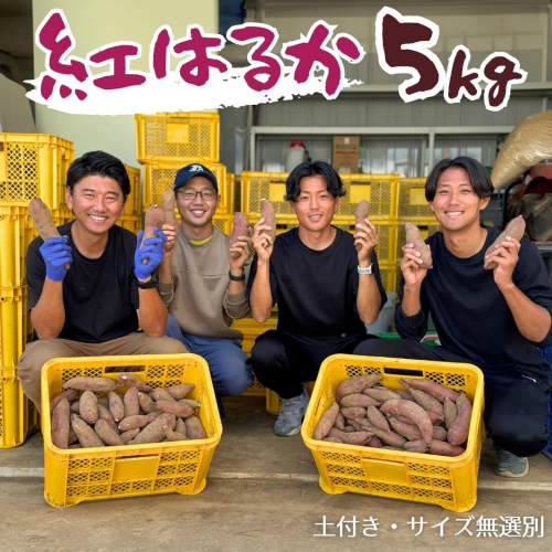 茨城県産 さつまいも 紅はるか 5kg （ 土付き サイズ無選別 ） べにはるか いも 茨城 甘い おいしい 美味しい [ED01-NT] 1120464 - 茨城県つくばみらい市