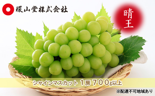 ぶどう 2024年 先行予約 シャイン マスカット 晴王 1房 700g以上