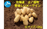【2024年発送】北海道上ノ国町産 おいしい馬鈴薯「メークイン」 Mサイズ×10㎏（山下農園）