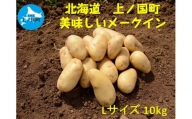 【2024年発送】北海道上ノ国町産 おいしい馬鈴薯「メークイン」 Lサイズ×10㎏（山下農園）