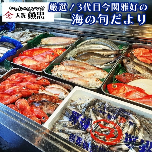 鮮魚店「魚忠」 厳選鮮魚セット 大洗 厳選 旬 魚 さかな 112081 - 茨城県大洗町