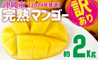 訳あり品【2024年発送】沖縄市　完熟マンゴー　約2kg