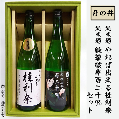 日本酒 ガルパン 720ml 2本 セット 純米酒 純米吟醸 月の井 コラボ 大洗 地酒 ガールズ＆パンツァー 桂利奈 112110 - 茨城県大洗町