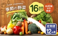 【定期便12回】季節の野菜 16品目 セット 野菜 詰め合わせ おまかせ