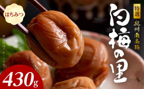 SF2011_特選紀州南高梅「白梅の里」はちみつ　430ｇ 1121944 - 和歌山県湯浅町