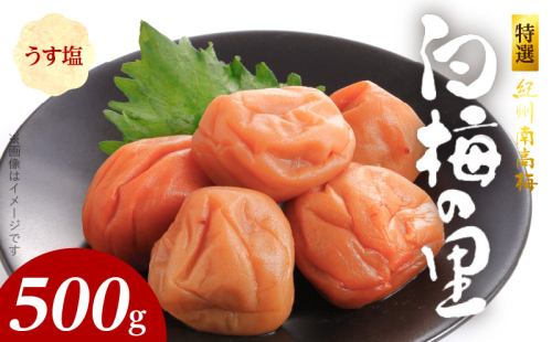 SF1008_特選紀州南高梅「白梅の里」うす塩味　500ｇ 1121963 - 和歌山県湯浅町