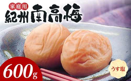 SF2020_紀州南高梅　うす塩味　家庭用Ｂ級　600ｇ 1121980 - 和歌山県湯浅町