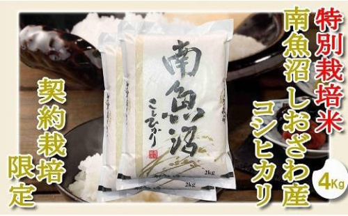 【精米４Kg】特別栽培 生産者限定  南魚沼しおざわ産コシヒカリ 1122158 - 新潟県南魚沼市