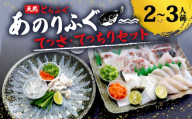 ふぐ てっさ てっちり セット 冷蔵 2人 〜 3人前 1匹 鍋 刺身 ふぐ刺し 刺し身 鍋 ふぐ鍋 天然 三重 伊勢志摩 志摩 とらふぐ あのりふぐ 冬 旬 もみじおろし 付き [ 期間限定 ]