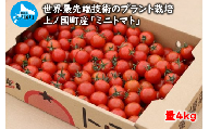 【2024年発送】北海道上ノ国町産 寅福菜園の「ミニトマト」 4㎏