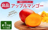 【2024年6月下旬発送開始】環境マイスターの【良品】アップルマンゴー 1kg
