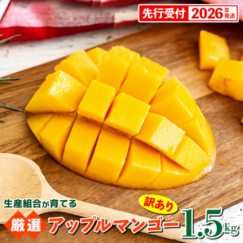 【先行受付】【2026年発送】生産組合が育てるアップルマンゴー 訳あり品 約1.5kg - 先行予約 沖縄県産 産地直送 南国フルーツ 旬の味覚 季節の果物 ご自宅用 家庭用 沖縄県 八重瀬町 112239 - 沖縄県八重瀬町