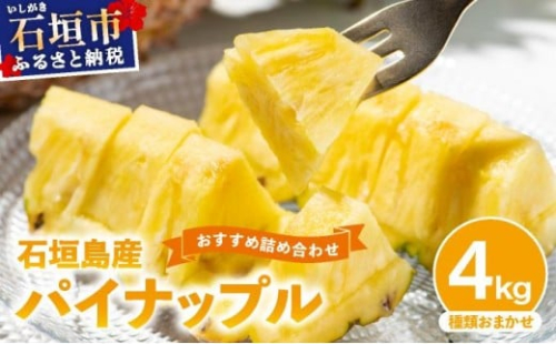 【訳あり】 石垣島産 パイナップル 詰め合わせ 約4kg (3～10個)《2026年5月から順次発送》 | ふるさと納税 パイナップル 産地直送 フルーツ 果物 パイン 石垣 沖縄 沖縄県石垣市 石垣島 KP-15