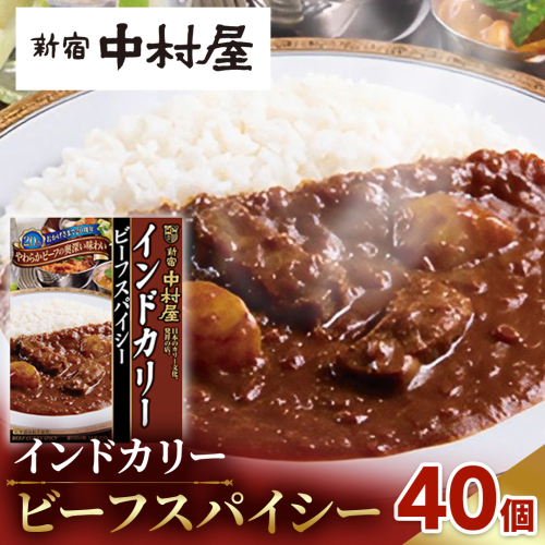 新宿 中村屋 インドカリー ビーフスパイシー 40個 レトルト レトルトカレー カレー 常温 温めるだけ 人気 洋食 時短 インドカレー スパイシーカレー 長期保存 災害用 保存食 レンチン レンジ 1122441 - 茨城県牛久市
