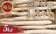 3202 信州山形村産 長いも 優 5kg