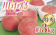 福島の桃 川中島特秀 約3kg（9～11玉）透過式光センサー選別 伊達市産桃 先行予約 フルーツ 果物 もも モモ momo F20C-778
