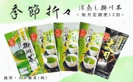 １９０５　深蒸し掛川茶 季節折々 毎月 定期便×12回 大井製茶 深蒸し茶