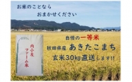 令和5年産 秋田県産あきたこまち 一等米 農家直送 玄米30kg