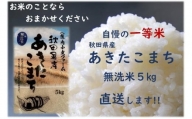 令和5年産 秋田県産あきたこまち 一等米 農家直送 無洗米5kg