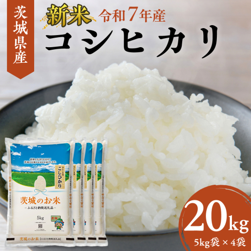 【 令和7年産 】 茨城県産 コシヒカリ 20kg ( 5kg × 4袋 ) 米 お米 白米 コメ こしひかり 茨城県 精米 新生活 応援 新米 [DK004ci] 1123751 - 茨城県筑西市