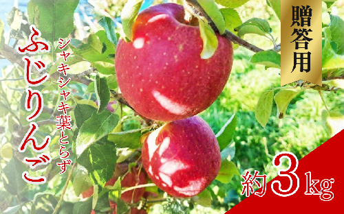 【2026年産】 シャキシャキ葉とらず ふじりんご 約3kg (5～12玉) サンふじ りんご リンゴ 果物 フルーツ 旬の果物 信州 長野 上田【特別栽培農産物】【長野県産】 1124210 - 長野県上田市
