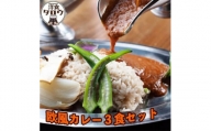沖縄県豚パイナップルポーク欧風カレー3食セット【1166968】