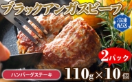 ブラックアンガスビーフハンバーグステーキ / お肉 100% 牛肉 千葉県