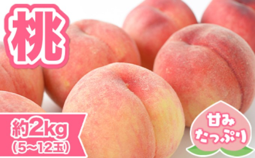 桃 先行予約 錦町産 約2kg 5玉～12玉 6月より順次出荷 もも モモ フルーツ 果物 デザート 配送不可：離島   112466 - 熊本県錦町