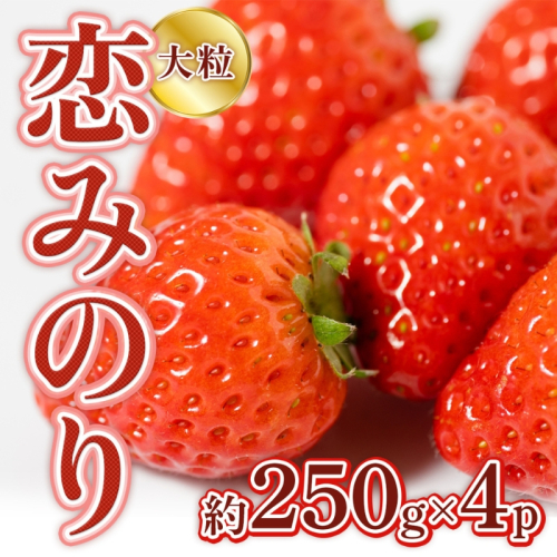 いちご 先行予約 約250g×4P 3Lサイズ 錦町産 恋みのり 苺 イチゴ  デザート フルーツ 2025年1月上旬より順次発送 配送不可:離島 果物類  112469 - 熊本県錦町