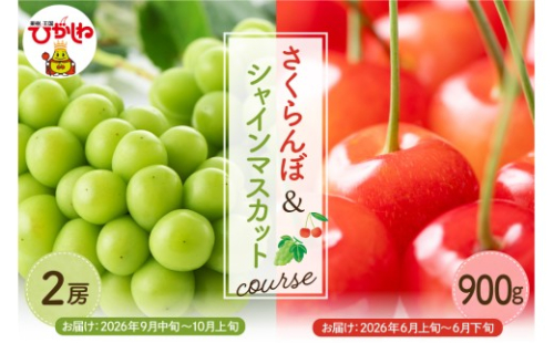 【2026年先行予約 2回 定期便】GI東根さくらんぼandシャインマスカットコース（佐藤錦露地900g、シャインマスカット2房）山形県 東根市 hi999-047