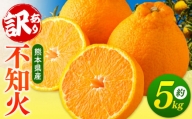 【 ご家庭用 訳あり 】 不知火 5kg （ デコポン と同品種 ) | 果物 くだもの フルーツ 柑橘 柑橘類 みかん 訳あり でこみかん 熊本県産 生産量全国一位！