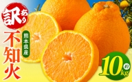 【ご家庭用訳あり】不知火 10kg | 果物 くだもの フルーツ 柑橘 柑橘類 みかん ミカン しらぬい 訳あり でこみかん 熊本県 玉名市