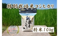 令和5年産｜新潟上越三和産｜特別栽培米コシヒカリ（従来種）10kg（2kg×5）精米